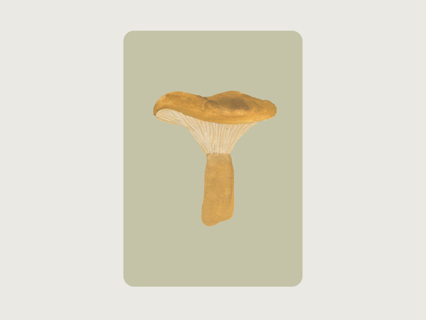 Postkarte Pilz "Brätling"