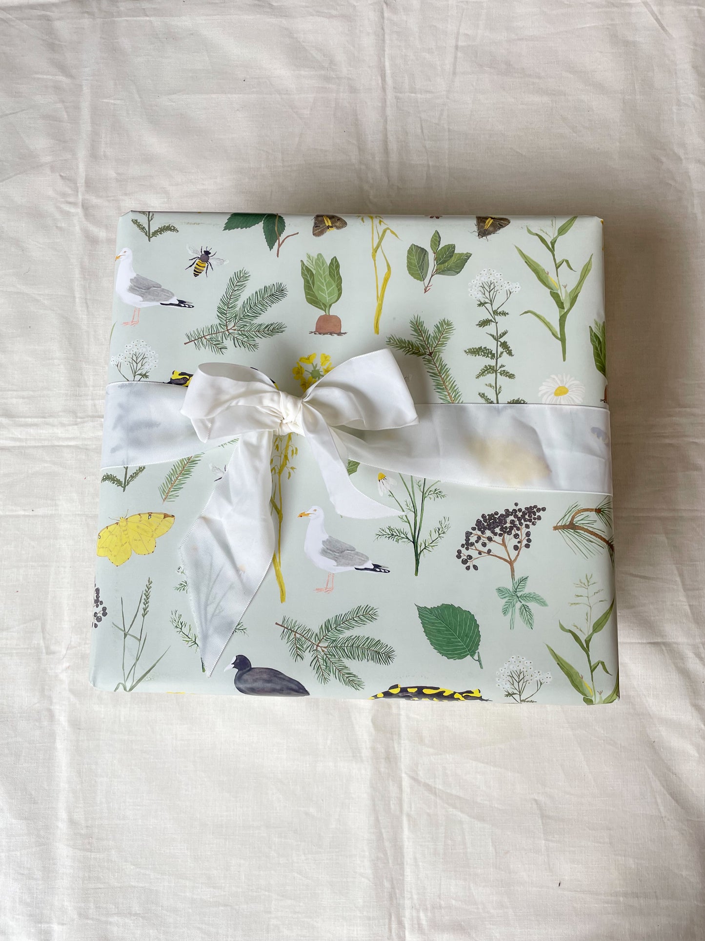 Geschenkpapier "Natur"