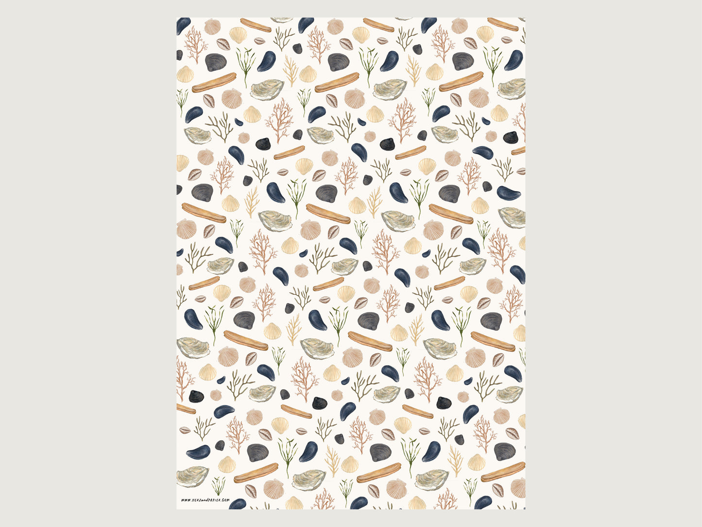 Ansicht des Sind A2-Bogens GEschenkpapier mit maritimen Muschel-Motiv wie Austern, Schwermuscheln, Miesmuscheln, Herzmuscheln.