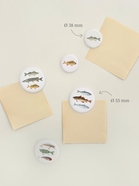 Magnetwand mit unterschiedlichen Magneten mit Fisch-Motiven. Es sind jeweils runde Magnet-Buttons mit einem oder mehreren Fisch Illustrationen.