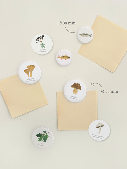 Magnetwand mit verschiedenen, runden Magnet-Buttons mit handgemalten Pilz-Motiven, wie Steinpilz, Pfifferling und Champignon. Das ideale Mitbringsel für Pilze-Fans und Pilzesucher