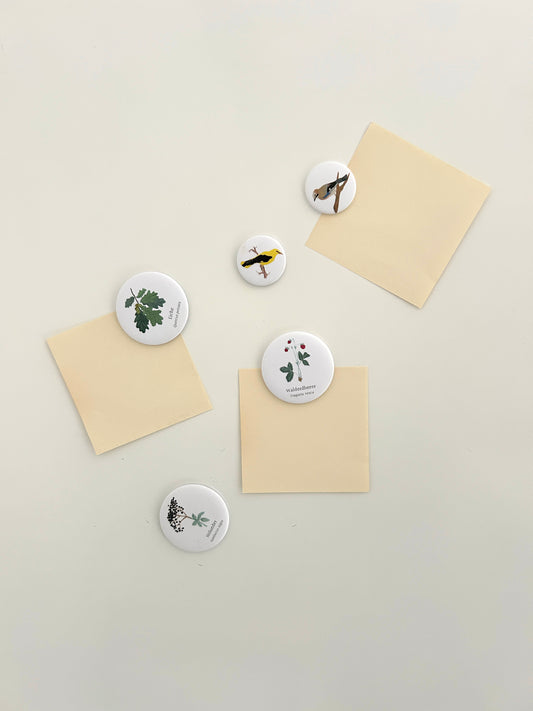 Magnetwand mit mehreren botanischen Pflanzen-Magneten. Handgemalte Illustrationen, die auf den runden Kühlschrankmagnet gedruckt wurden. Zu sehen sind Eiche, Holunder, Walderdbeere und Vögel.