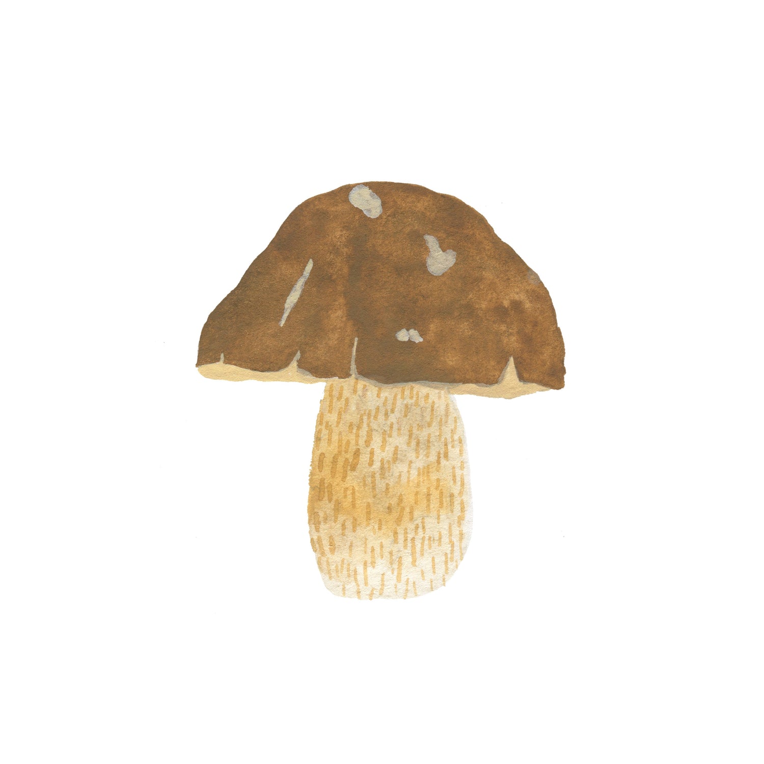 Handgemalter Steinpilz als Motiv zum Thema Pilze