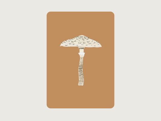 Postkarte "Parasol"