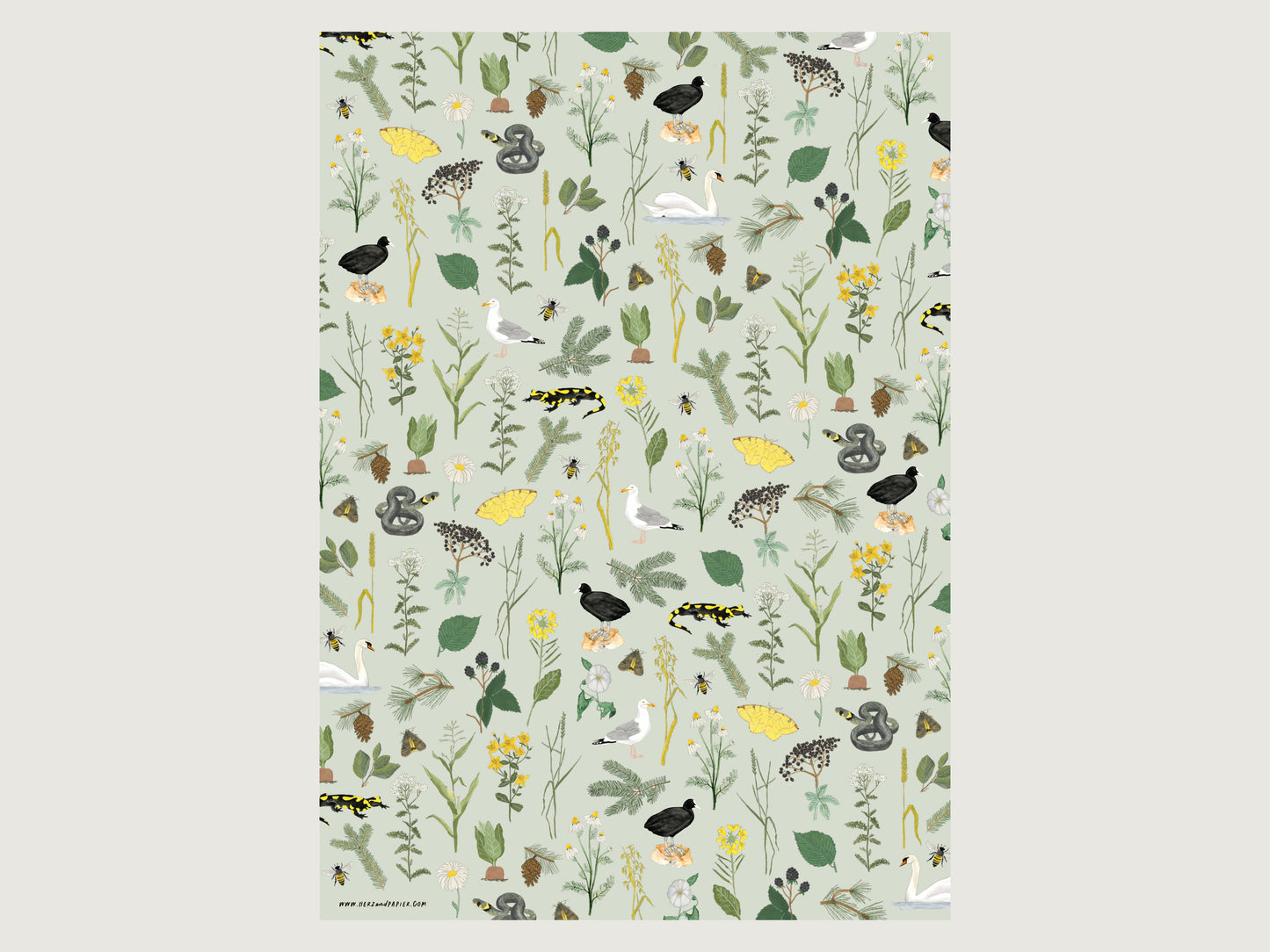 Geschenkpapier "Natur"