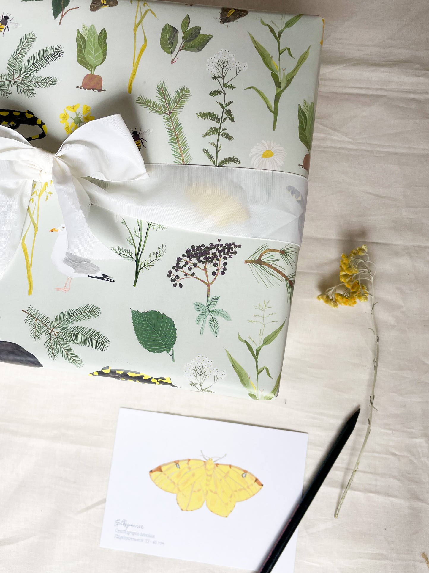 Geschenkpapier "Natur"