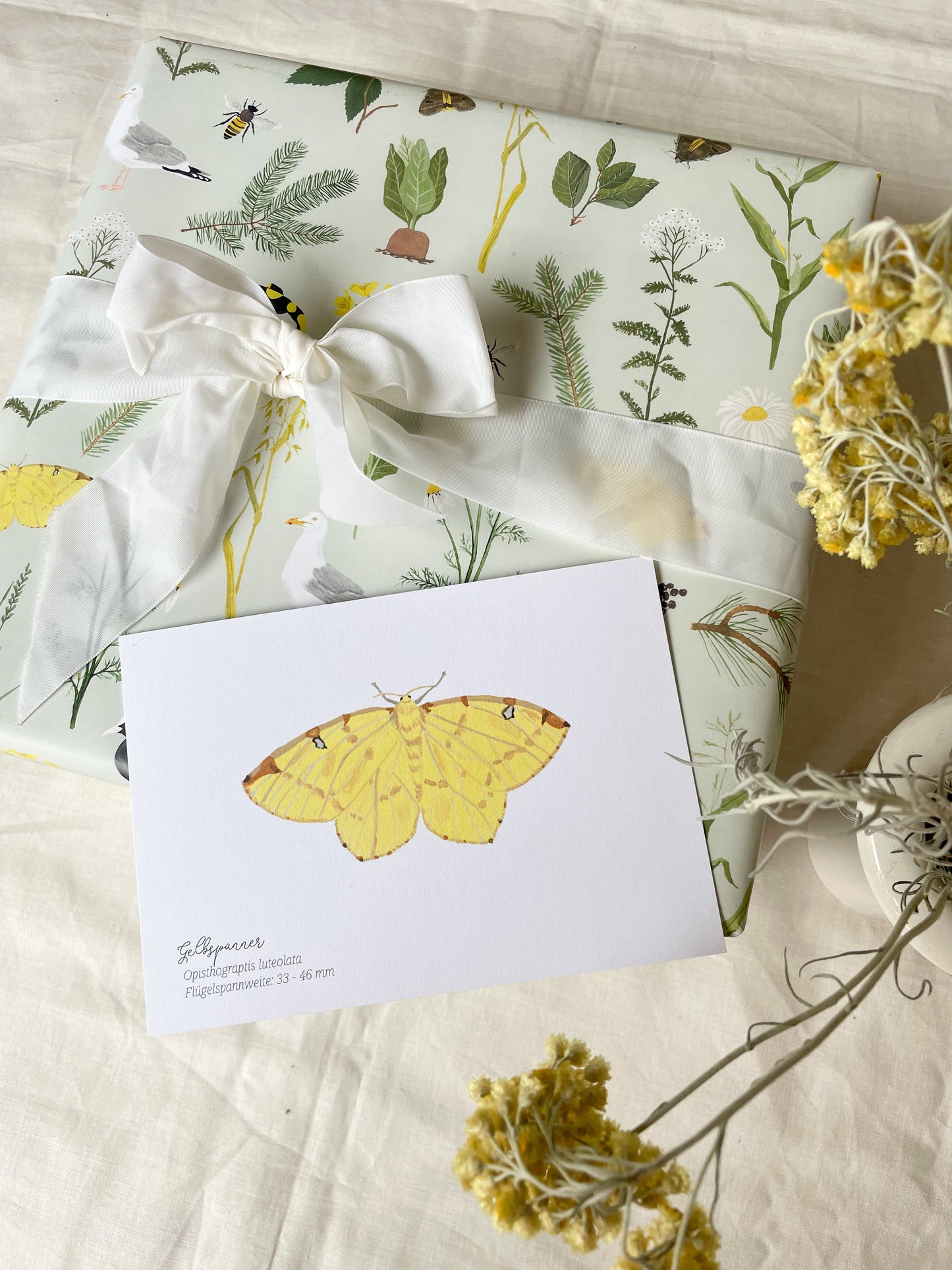 Geschenkpapier "Natur"