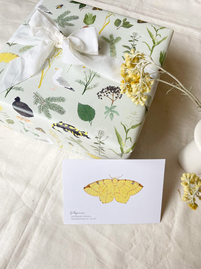 Geschenkpapier "Natur"