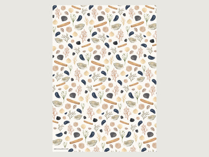 Ansicht des Sind A2-Bogens GEschenkpapier mit maritimen Muschel-Motiv wie Austern, Schwermuscheln, Miesmuscheln, Herzmuscheln. 