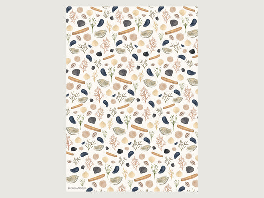 Ansicht des Sind A2-Bogens GEschenkpapier mit maritimen Muschel-Motiv wie Austern, Schwermuscheln, Miesmuscheln, Herzmuscheln. 