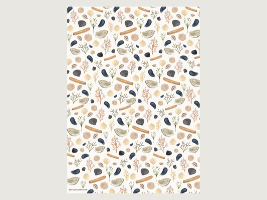 Geschenkpapier "Muscheln"
