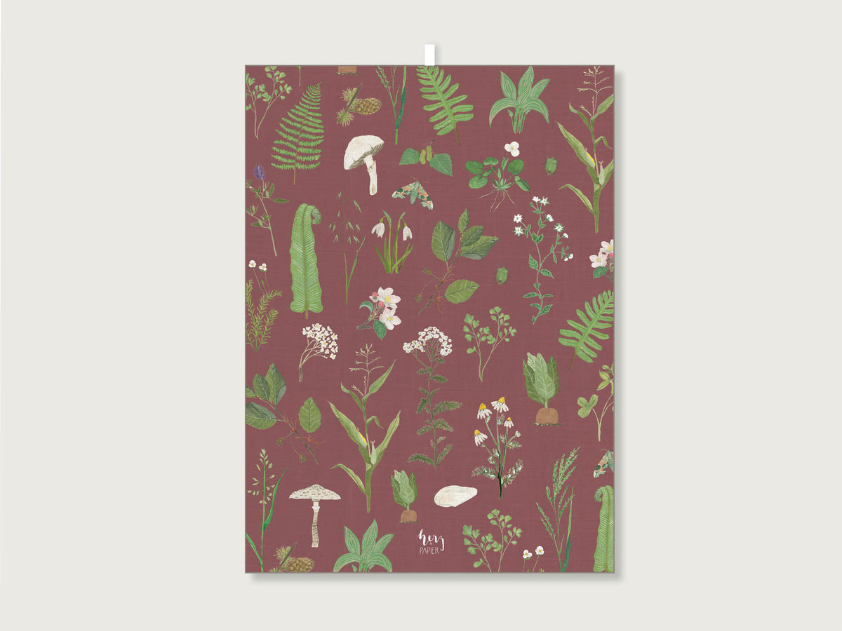 Ausgebreitetes Geschirrtuch 50x70 cm mit botanischen Motiven wie Farnen, Pilzen, Waldbeeren und praktischer Aufhängeschlaufe.