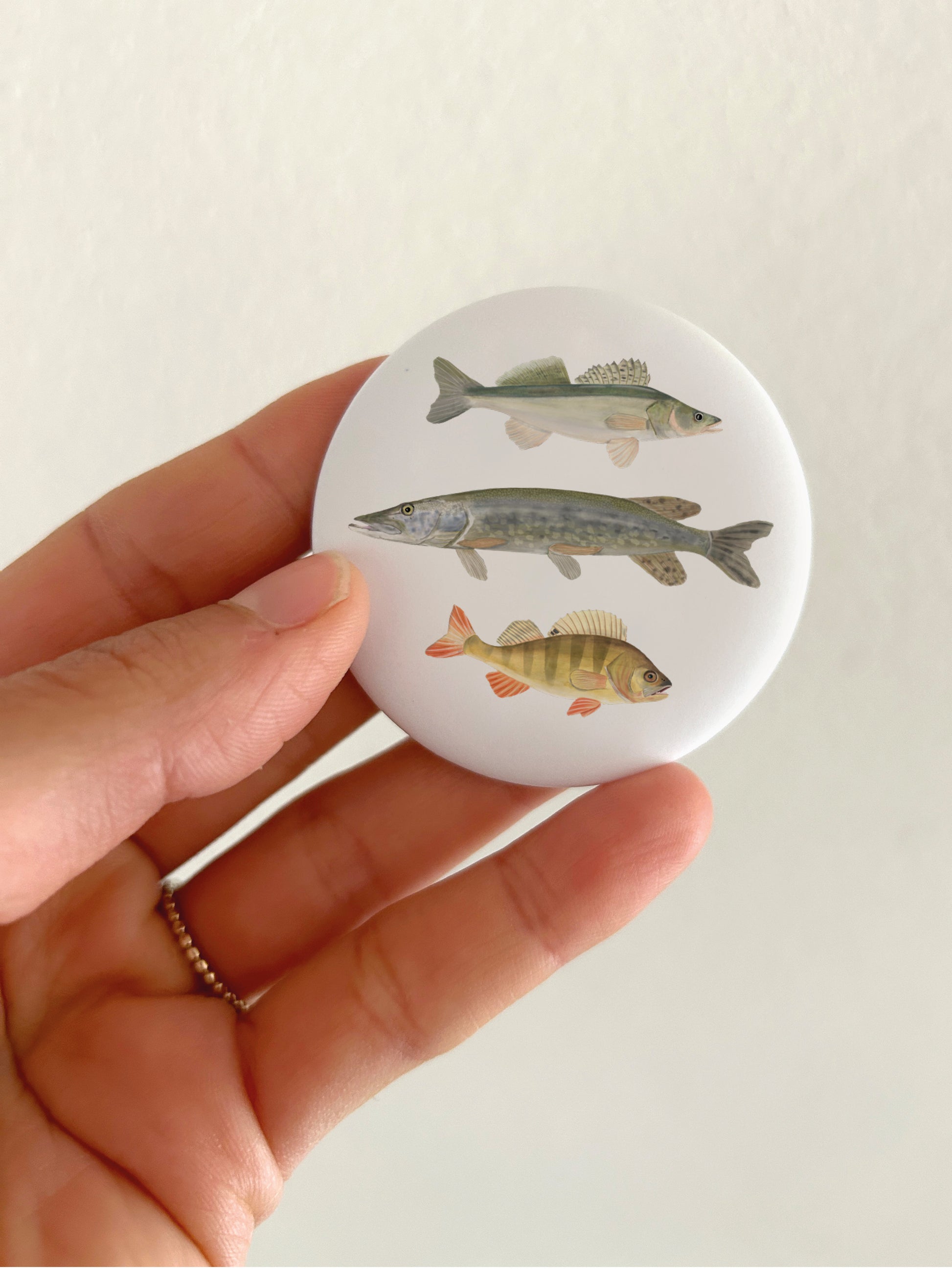 Runder Kühlschrankmagnet, der jemand in der Hand hält. Es sind Fisch-Illustrationen von heimischen Fischen zu sehen. EIn Geschenk für Angler