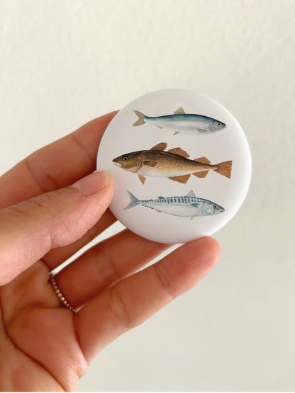 Ein runder Magnet, der in der Hand gehalten wird. Auf dem Magnet sind Meeresfische zu sehen. Die Fische wurden mit der Hand illustriert. 