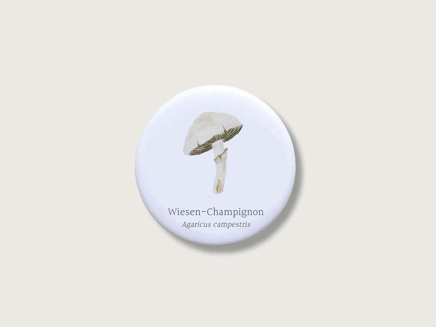 Botanisches Geschenk für Pilzsammler: Runder, weißer Kühlschrankmagnet mit einer detailreichen Handillustration eines Wiesen-Champignons samt deutschem und lateinischem Namen Agaricus campestris. Das feine Natur-Motiv aus Große Magnete Champignon.jpg befindet sich mittig auf einem schlichten, neutralen, hellen Hintergrund.