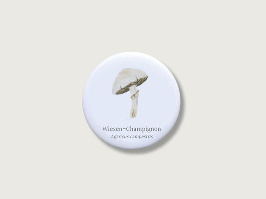 Botanisches Geschenk für Pilzsammler: Runder, weißer Kühlschrankmagnet mit einer detailreichen Handillustration eines Wiesen-Champignons samt deutschem und lateinischem Namen Agaricus campestris. Das feine Natur-Motiv aus Große Magnete Champignon.jpg befindet sich mittig auf einem schlichten, neutralen, hellen Hintergrund.