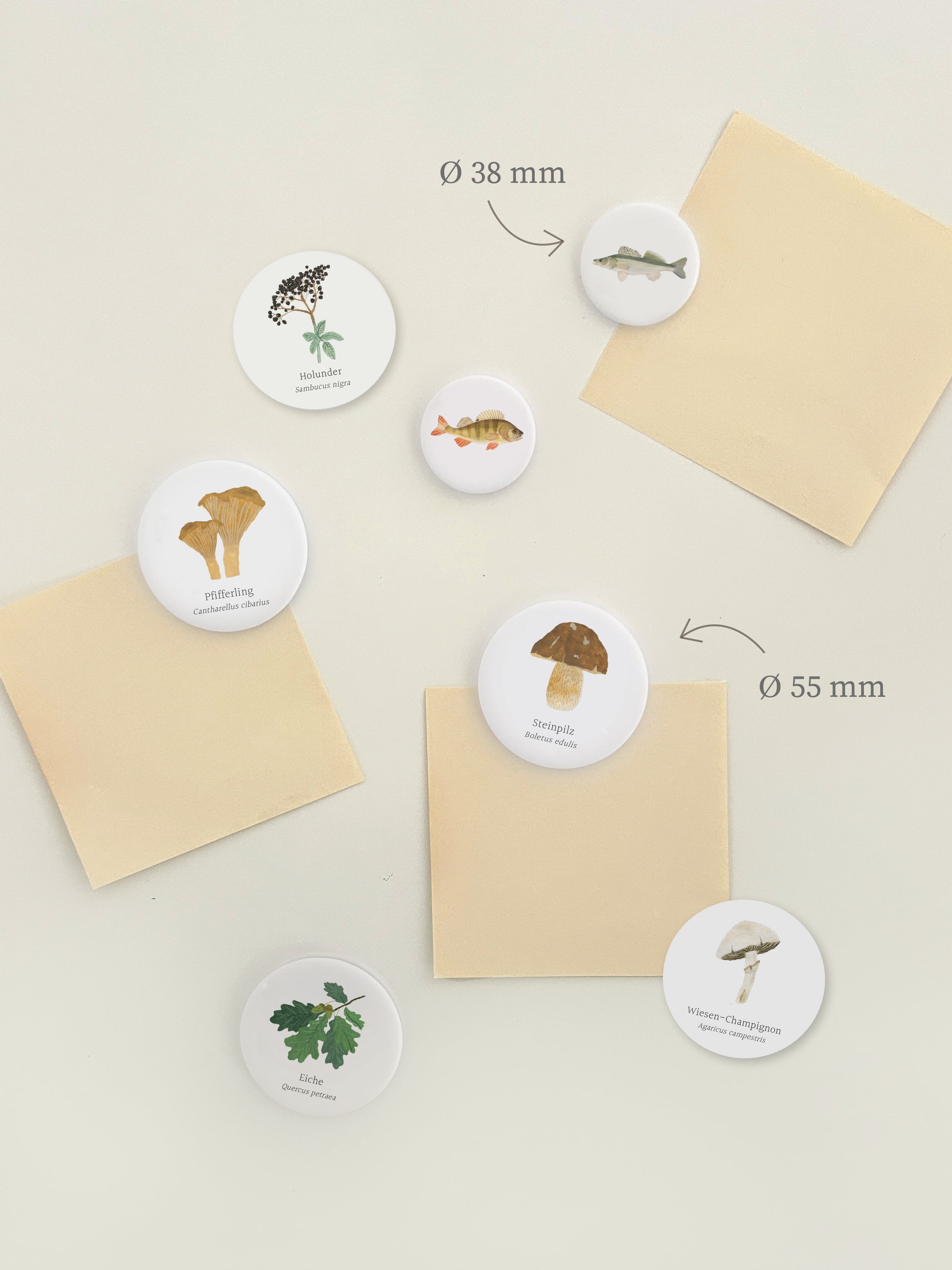 Magnetwand mit verschiedenen, runden Magnet-Buttons mit handgemalten Pilz-Motiven, wie Steinpilz, Pfifferling und Champignon. Das ideale Mitbringsel für Pilze-Fans und Pilzesucher