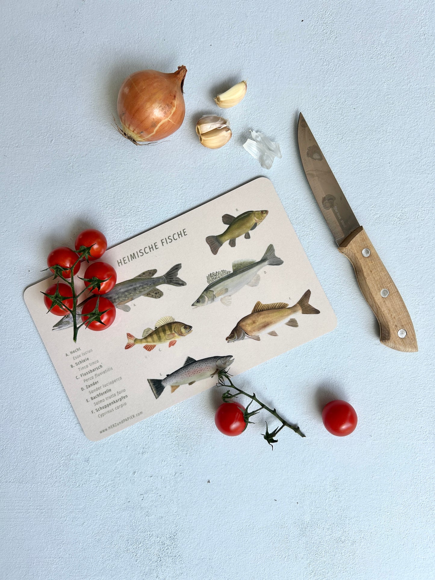 Berttchen mit handgemalten Illustrationen von heimischen Fische, das auf hellblauem Untergrund liegt. Daneben liegt ein Messer, sowie Zwiebeln und Knoblauch. Auf dem Brettchen liegen ein paar Cocktail-Tomaten. 