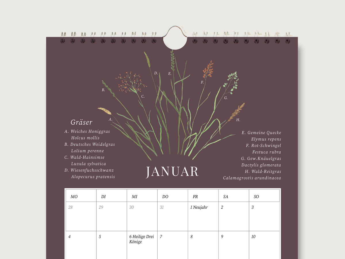 Aufgeschlagenes Januar-Kalenderblatt aus mattem, dunkelbraunem Naturpapier mit handillustrierten heimischen Gräsern, botanischen Bezeichnungen und geräumigen Tageskästchen für Termine.