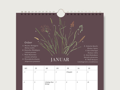 Aufgeschlagenes Januar-Kalenderblatt aus mattem, dunkelbraunem Naturpapier mit handillustrierten heimischen Gräsern, botanischen Bezeichnungen und geräumigen Tageskästchen für Termine.