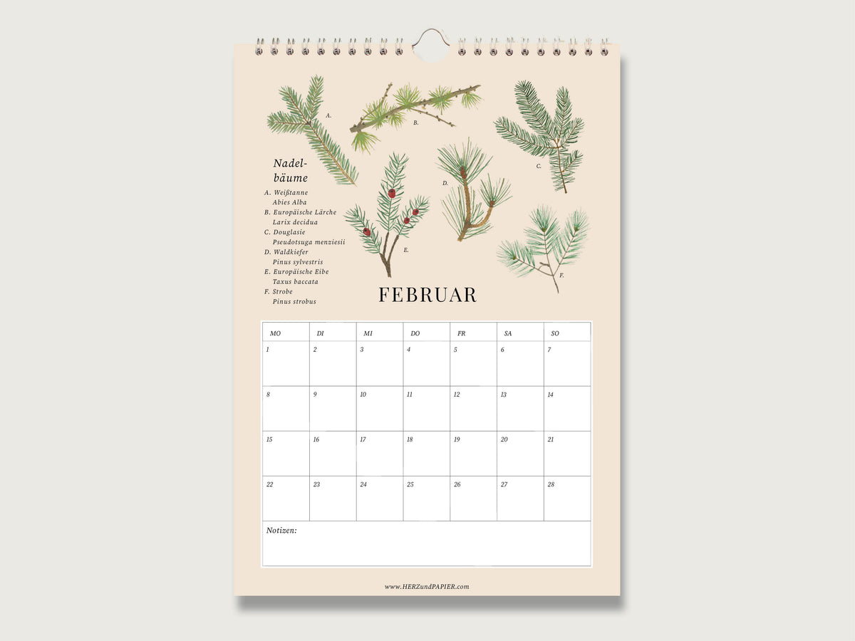 Februar-Monatsseite aus festem Naturpapier mit detailliert gezeichneten Nadelbaumzweigen von Weißtanne bis Kiefer, Feiertagen und viel Platz für Notizen.