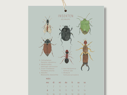 Nahaufnahme des Naturkalenders mit Waldmotiven. Zu sehen sind die Insekten des Waldes. veschiedene Käfer, Ameisen und Ohrenhüller. Sie sind jeweils mit deutschem und lateinischem Namen beschriftet. 