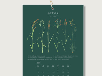Zu sehen ist das Monatsblatt APril des Waldkalenders mit handillustrierten Naturmotiven. In diesem Monat sind auf dunkelgrünem Hintergrund verschiedene Gräser zu sehen, die in naturkundlicher Art beschrittet wurden. Außerdem ist eine Überschrift zu sehen, die lautet.: Gräser des Waldes. 