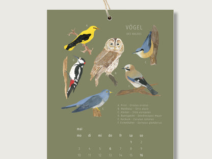 Din a5 Kalenderblatt für Mai, auf dem handillusrtierte Vögel des Waldes zu sehen sind. Unter den Illustrationen ist ein schlichtes Kalendarium mit hervorgehobenen Feiertagen zu sehen.