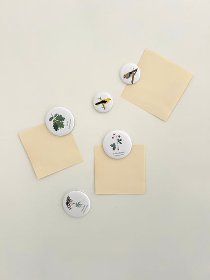 Magnetwand mit mehreren botanischen Pflanzen-Magneten. Handgemalte Illustrationen, die auf den runden Kühlschrankmagnet gedruckt wurden. Zu sehen sind Eiche, Holunder, Walderdbeere und Vögel. 