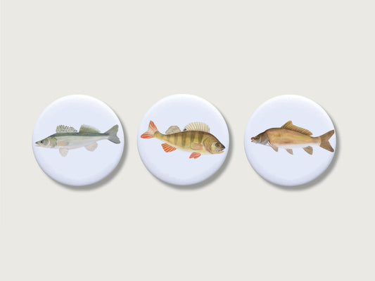 Magnete 3er Set "Fische"