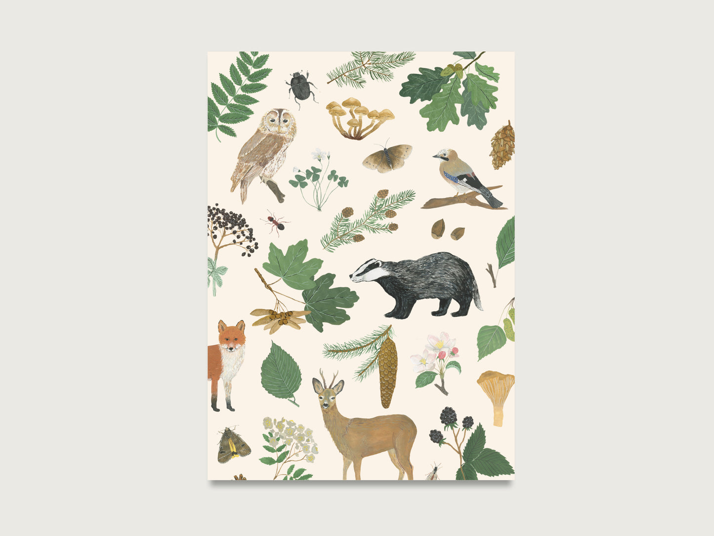 Postkarten Set "Natur"