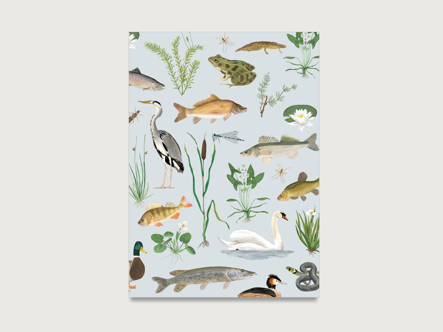 Postkarten Set "Natur"