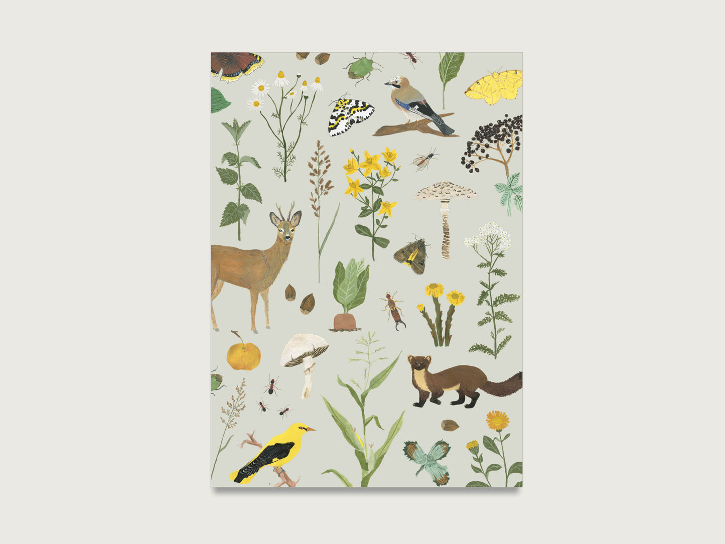 Postkarte "Auf der Wiese"