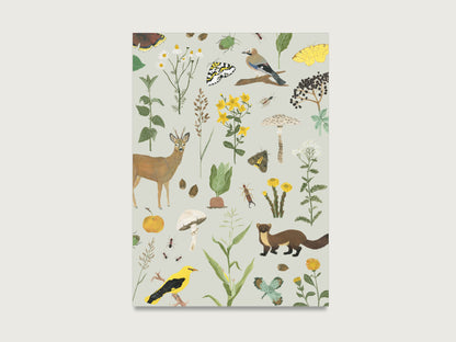 Postkarten Set "Natur"