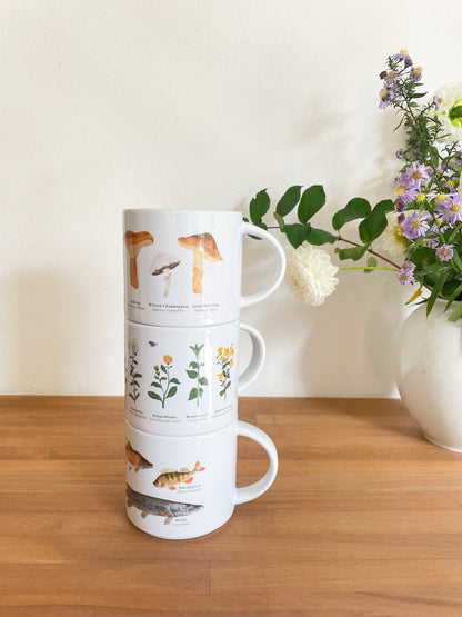 3er Set XL Tassen "Flora und Fauna"