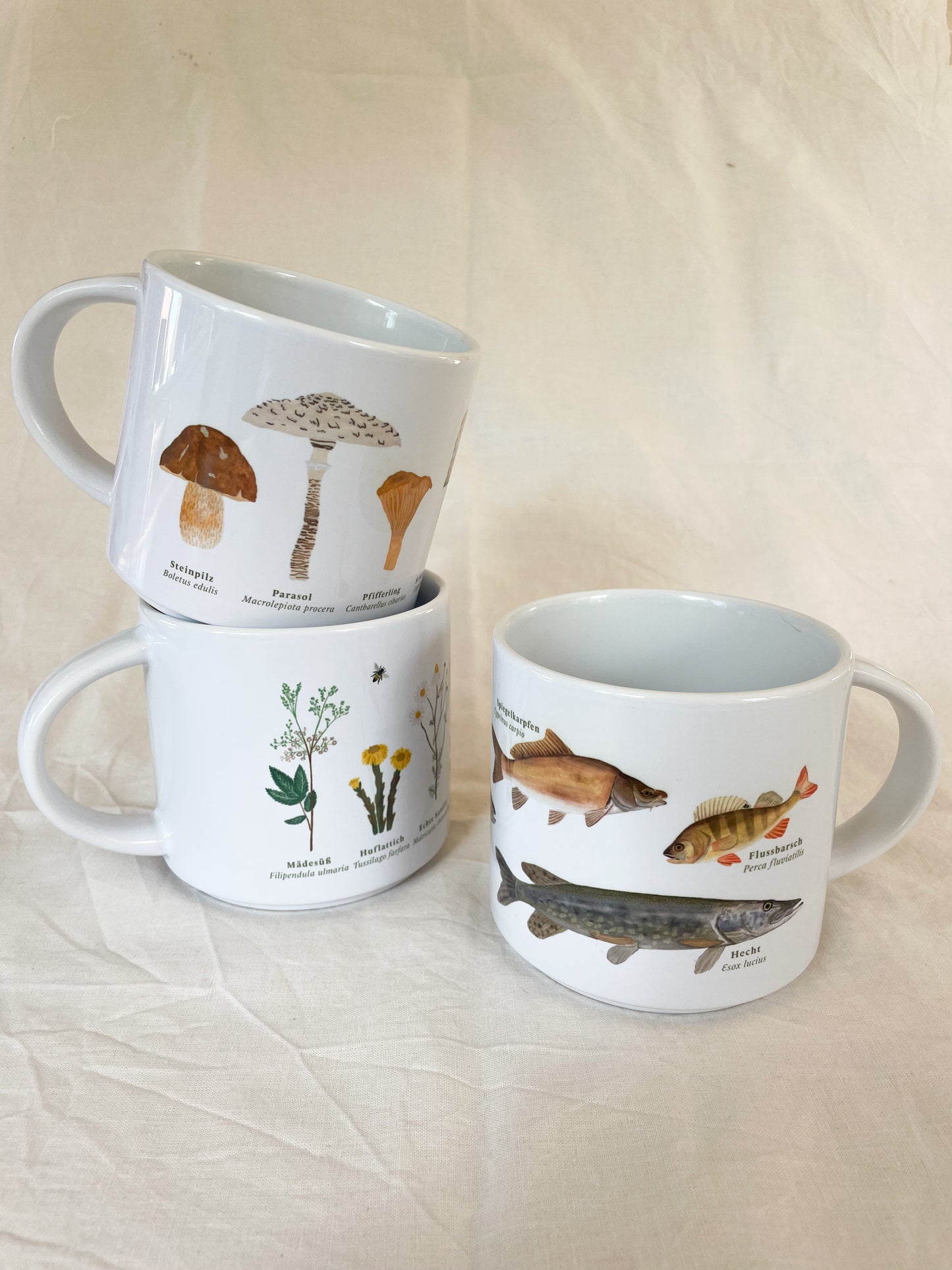 3er Set XL Tassen "Flora und Fauna"