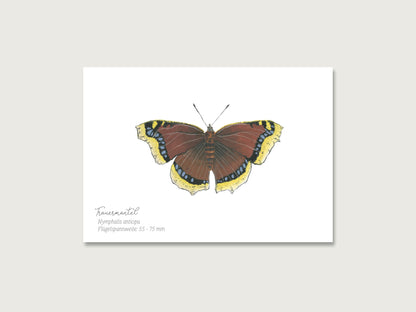 Postkarten 4er Set "Schmetterlinge"