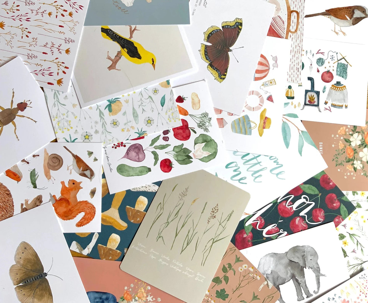 18 Postkarten Überraschungsset | Postkartenset | Set | 18 Stück | Natur || HERZ & PAPIER